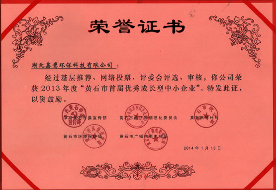 Excellent Growth Enterprise Honor Certificate